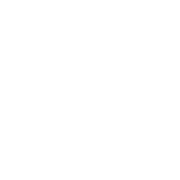 Inteligência Emocional Início 7