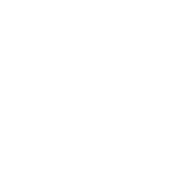 Empreendedorismo Início 9