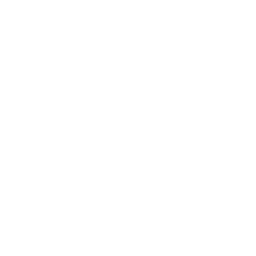 Inteligência Estratégica Início 5