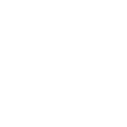 Qualidade de Vida Início 10